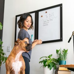 Gründungspaket für Hundesalon mit Planung und Aufgabenübersicht