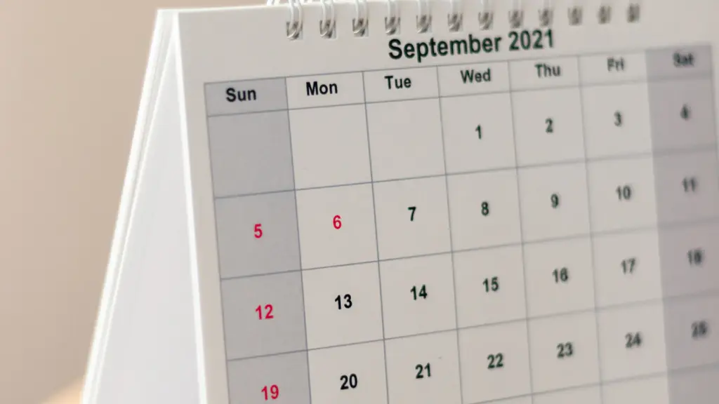 Kalender als Symbol für Terminerinnerungen im Hundesalon