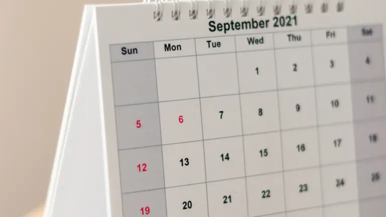 Kalender als Symbol für Terminerinnerungen im Hundesalon