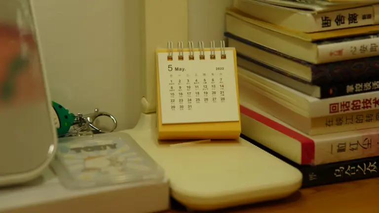 Kalender und Notizen als Symbol für eine digitale Warteliste im Hundesalon
